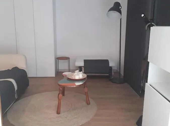 Monolocale Moderno. Recentemente Ristrutturato Apartment