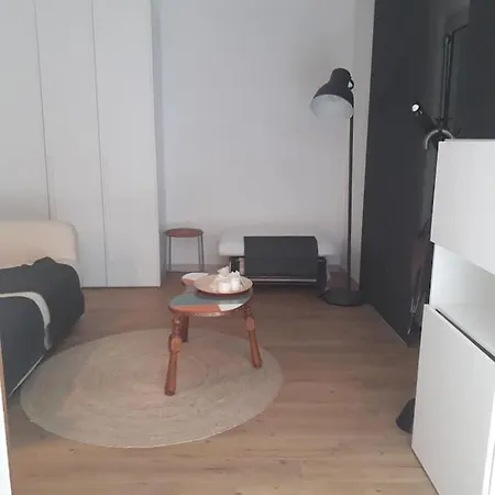 Monolocale Moderno. Recentemente Ristrutturato Appartement
